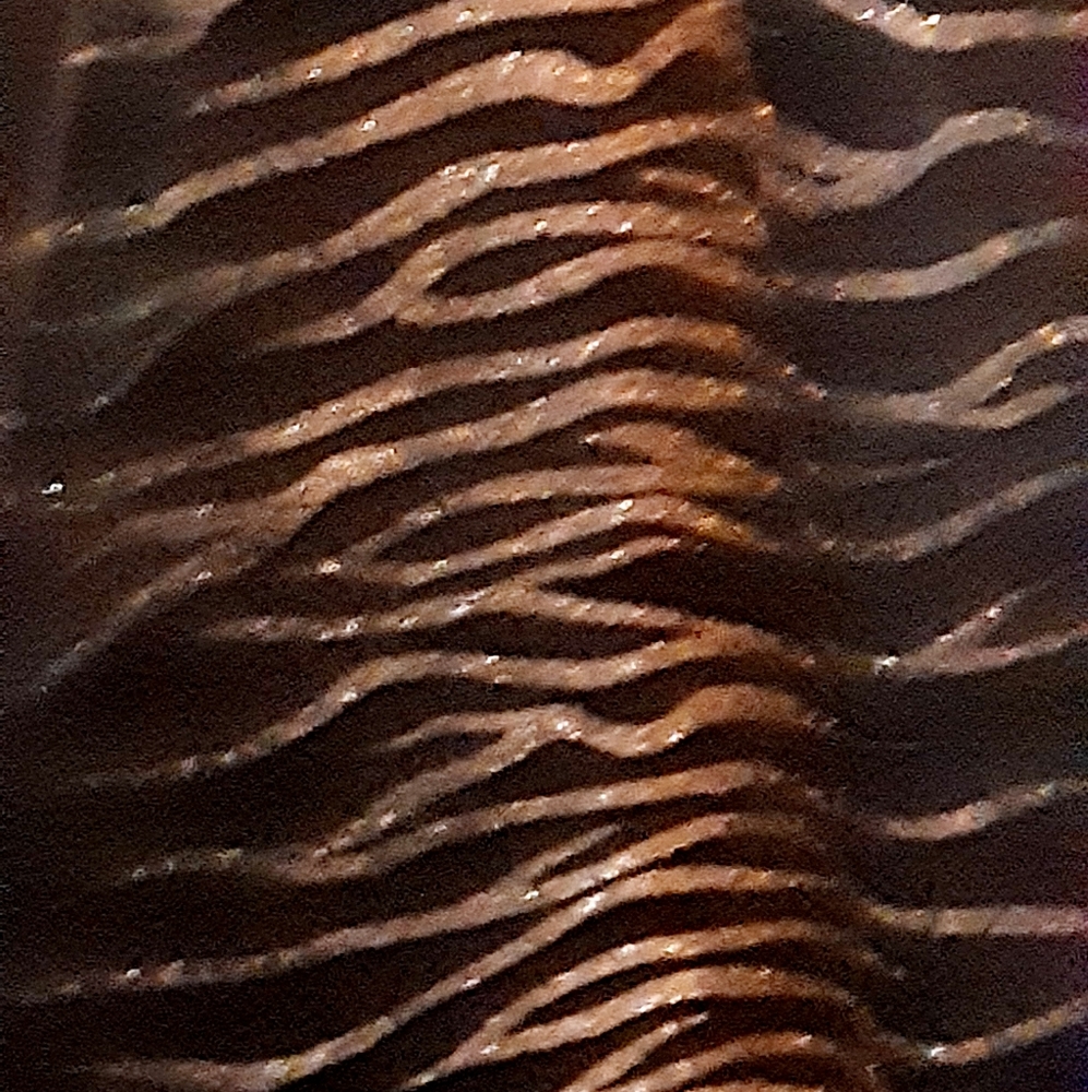 Stunning Formal dress